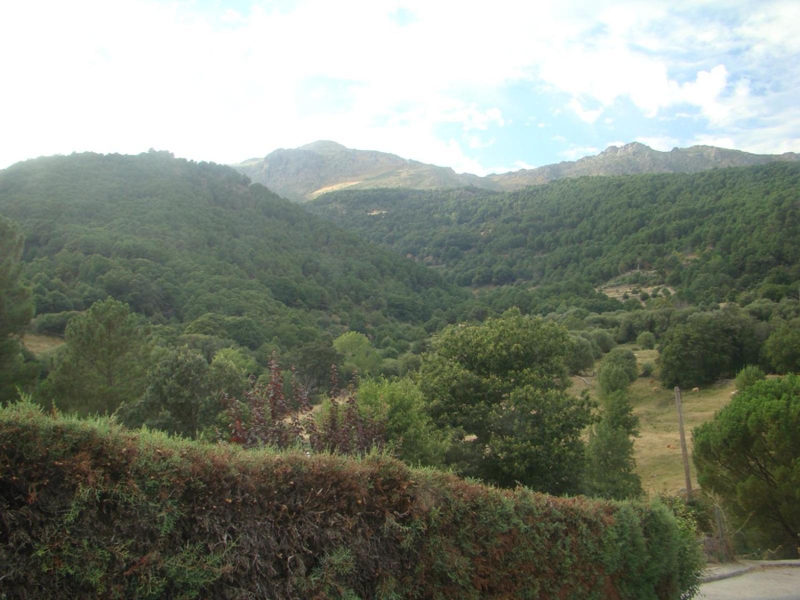La Canciella De Mijares Luaran gambar